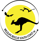 Logo Photo